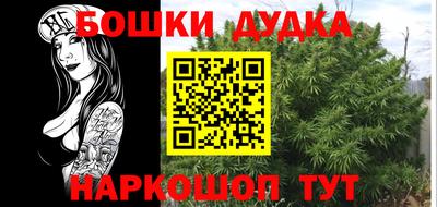 крисы Краснодар